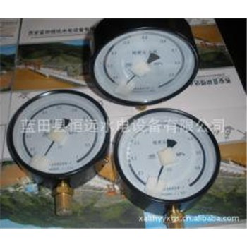 恒遠生產(chǎn)Y-150型壓力表