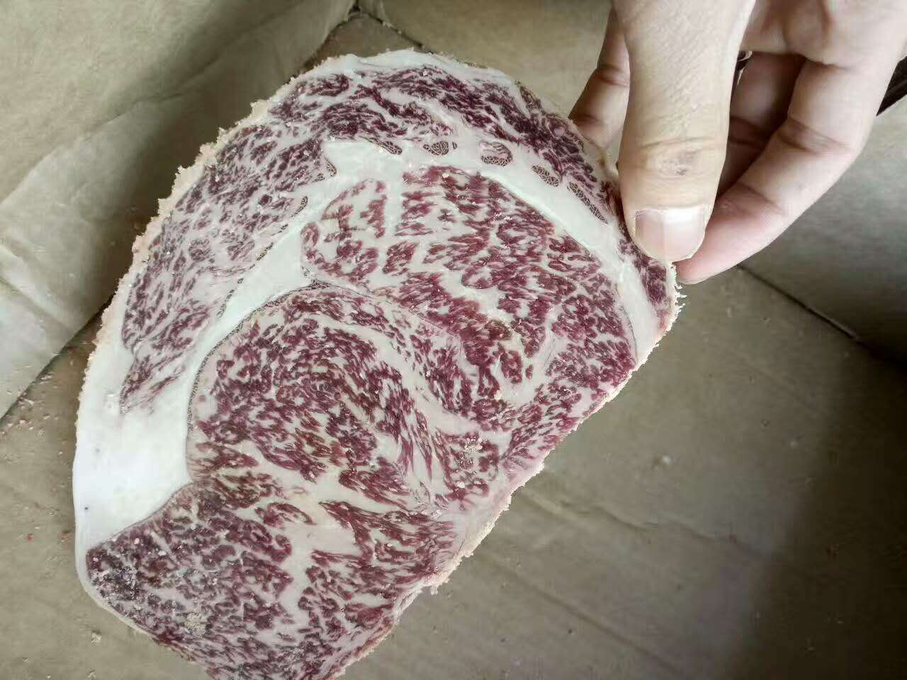 加拿大進口牛肉批發(fā)美肥上腦肋條牛小排批發(fā)龍利魚柳梭邊魚卷深海魚批發(fā)
