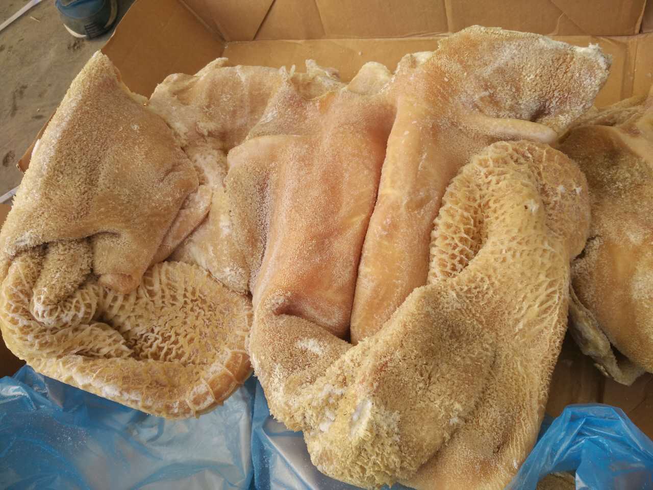 青島牛下貨批發(fā)，毛肚百葉批發(fā)牛臉牛舌牛尾牛鞭批發(fā)牛腸牛心牛寶批發(fā)