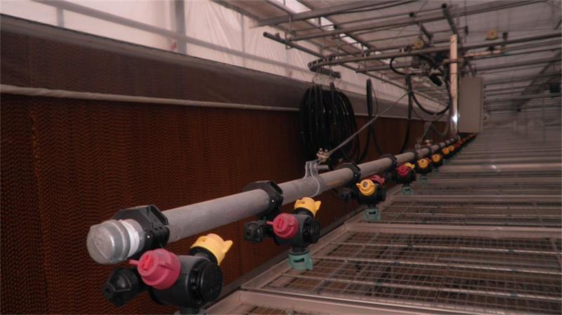 溫室大棚雙軌道三嘴噴頭噴水噴灌機噴水車；溫室大棚全自動噴灌機噴水車
