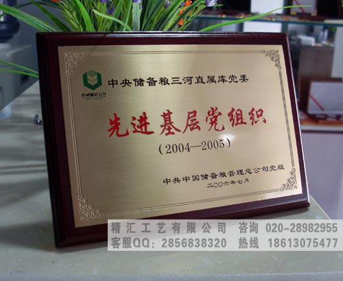 滁州先進部門獎牌，木質獎牌定制工廠，十佳企業(yè)獎牌，理事單位獎牌訂做