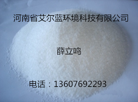 歡迎光臨河南艾爾藍(lán)聚丙烯酰胺——實業(yè)有限公司歡迎您!