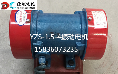 現(xiàn)貨供應(yīng)(YZD-125-6)8.5KW振動電機(jī)價格結(jié)實耐用
