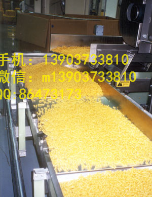 江蘇振動(dòng)輸送機(jī)維護(hù)