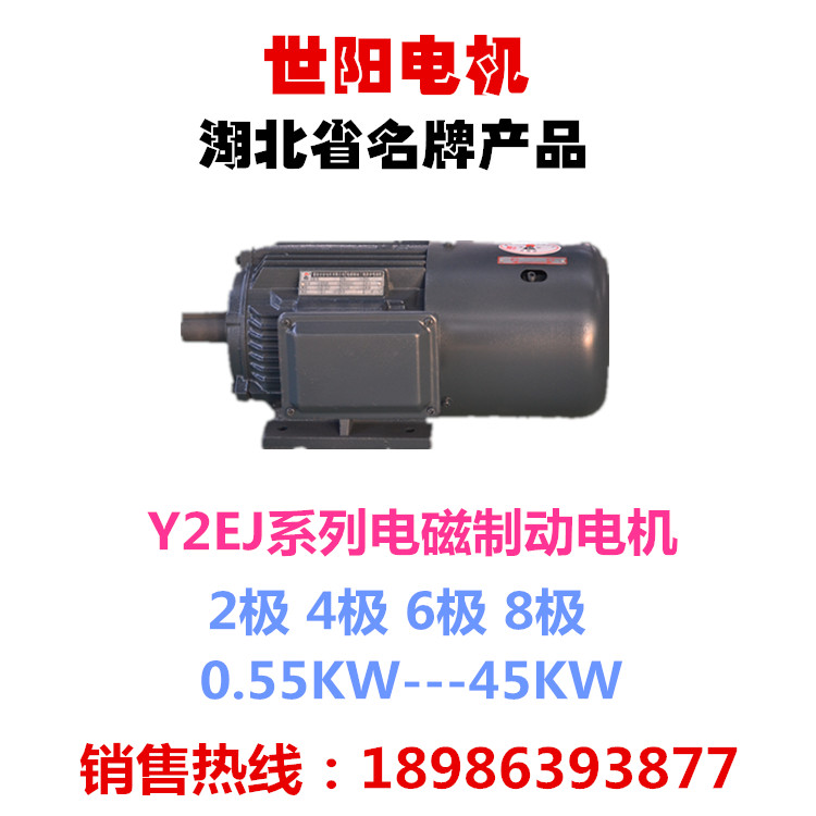 世陽(yáng)電機(jī) Y2EJ YEJ系列電磁制動(dòng)電機(jī) 名牌電機(jī) 廠家直銷