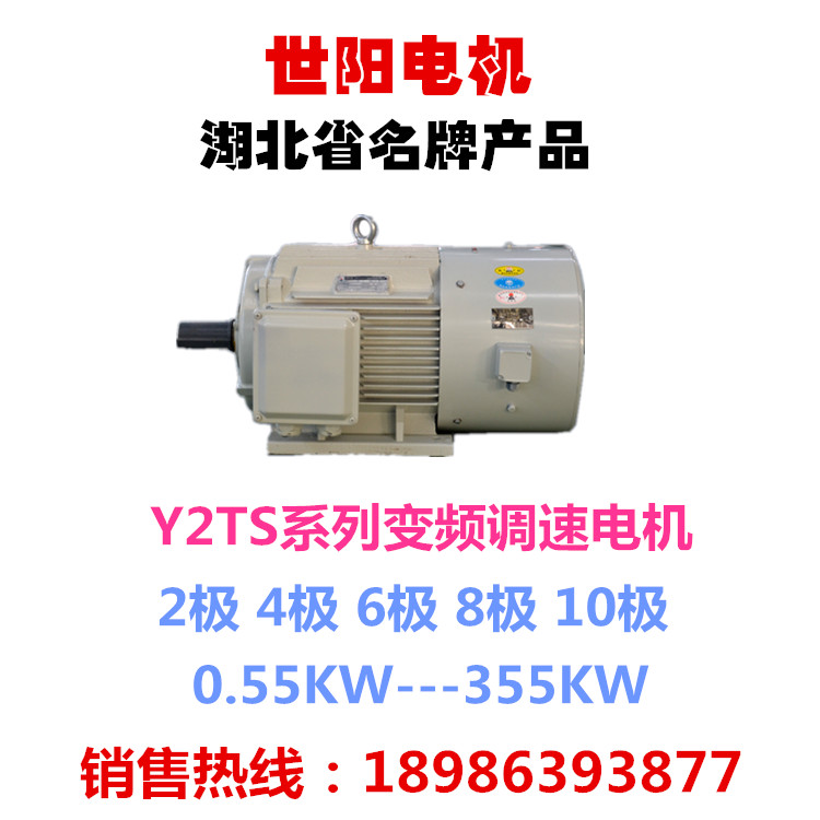 世陽(yáng)電機(jī) 優(yōu)質(zhì)名牌 變頻調(diào)速 Y2TS YVF2 YVP系列電機(jī)