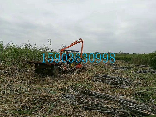 河南周口靈活轉(zhuǎn)換方位抓木起重機(jī)品質(zhì)一流