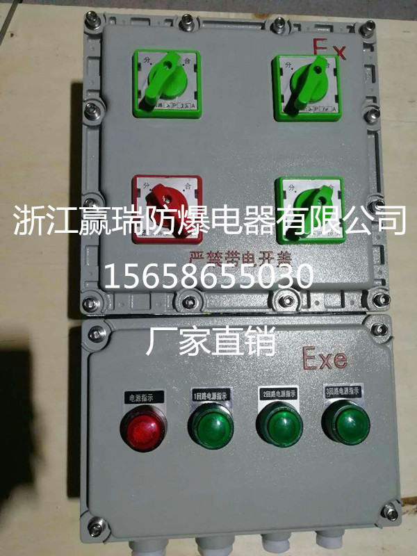浙江溫州防爆配電箱照明動(dòng)力配電箱動(dòng)力房配電箱