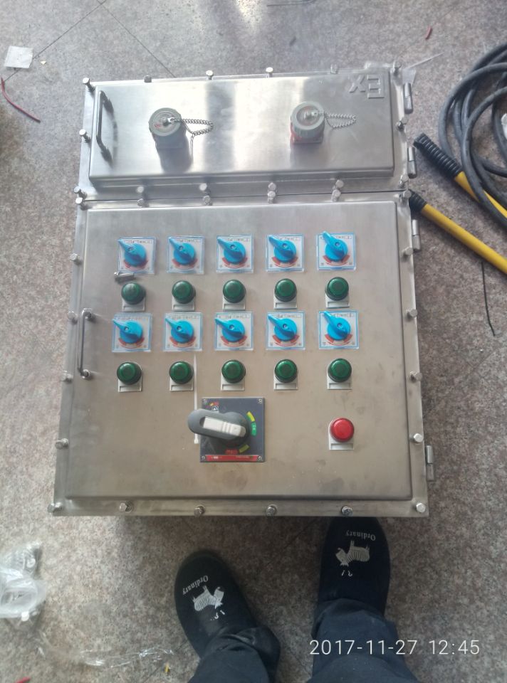 BXD51-T不銹鋼防爆配電箱