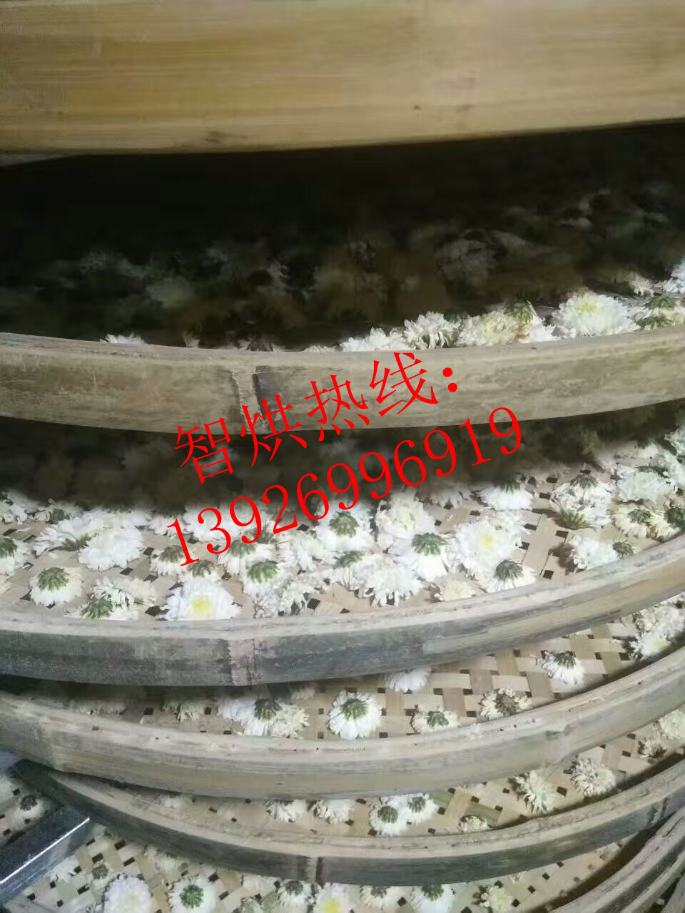 智烘牌智能控制小型菊花烘干機ZH-CMX-02