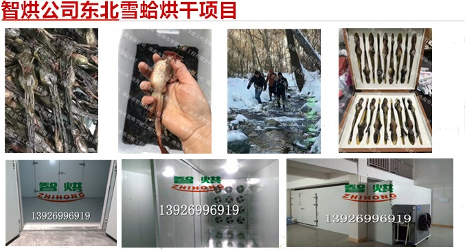 正規(guī)大廠家統(tǒng)一出廠價銷售的智烘牌東北雪蛤烘干設備多款型