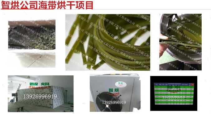溫度濕度可控的智烘牌水產(chǎn)品海帶烘干機(jī)干燥經(jīng)驗(yàn)豐富