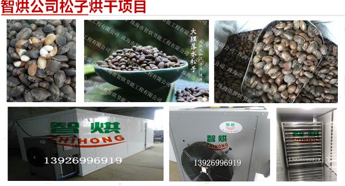 智烘牌包生產(chǎn)包安裝的松子烘干機暢銷的松子干燥設(shè)備熱泵環(huán)保型