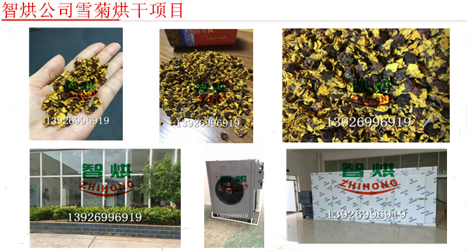 怎樣選購價格便宜用電少的雪菊烘干機多人使用的鮮花干燥房