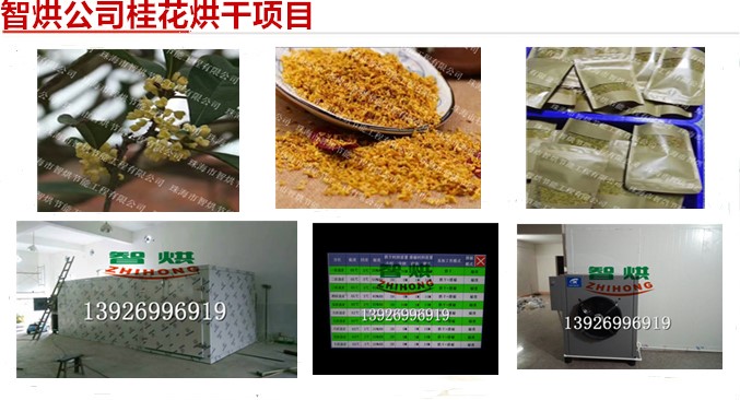 智烘牌單價(jià)便宜的鮮花烘干機(jī)熱泵溫度保持好的桂花干燥機(jī)械