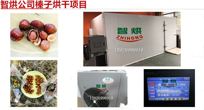 昆明哪家堅果烘干機品牌好用電少的榛子干燥設(shè)備廠家
