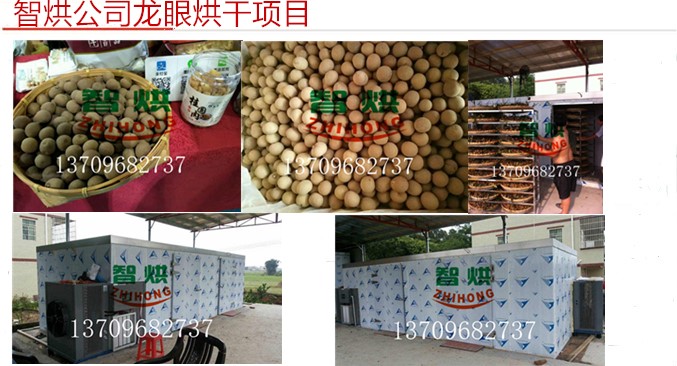 河池龍眼烘干機(jī)/烘干設(shè)備/烘干房/烘干系統(tǒng)