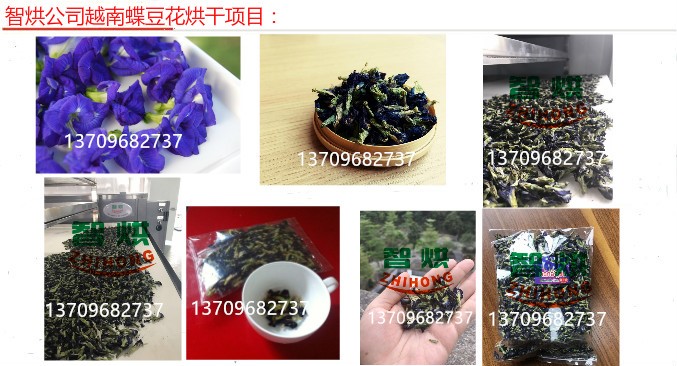 高品質(zhì)越南蝶豆花烘干機包安裝/干燥設(shè)備/干燥系統(tǒng)