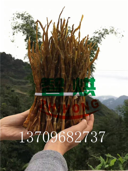 智烘節(jié)能無人值守望高溫?zé)岜弥窆S烘干機冬筍烘干設(shè)備價格