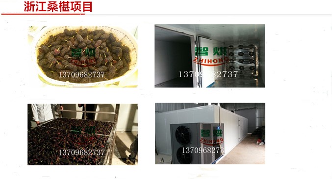 智烘桑果烘干機(jī)桑葚子烘干房價(jià)格烘黑桑果烘干設(shè)備價(jià)格