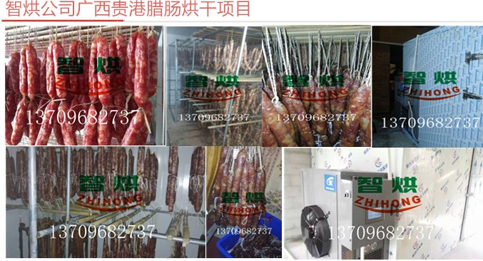 臘腸烘干機ZH-JN-HGJ-03H，廣西貴港臘腸烘干機真的好用嗎？