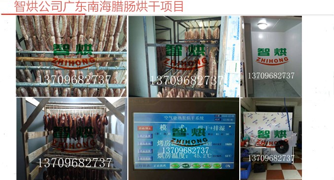 供應(yīng)優(yōu)質(zhì)臘腸烘干系統(tǒng)ZH-JN-HGJ-03H智烘牌臘腸烘干機