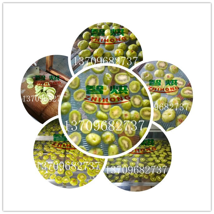 獼猴桃片專用烘干機(jī)，獼猴桃干果片專用烘干機(jī)