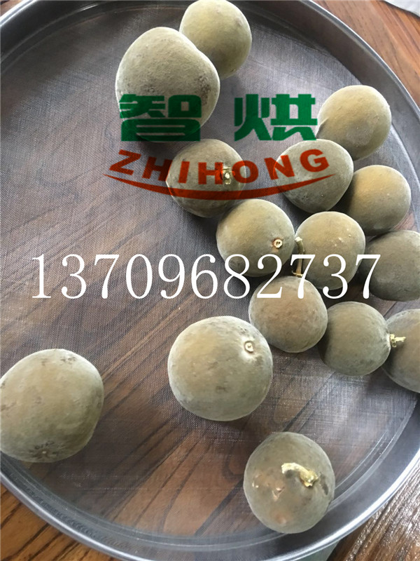 珠海-智烘牌化橘紅烘干機(jī)