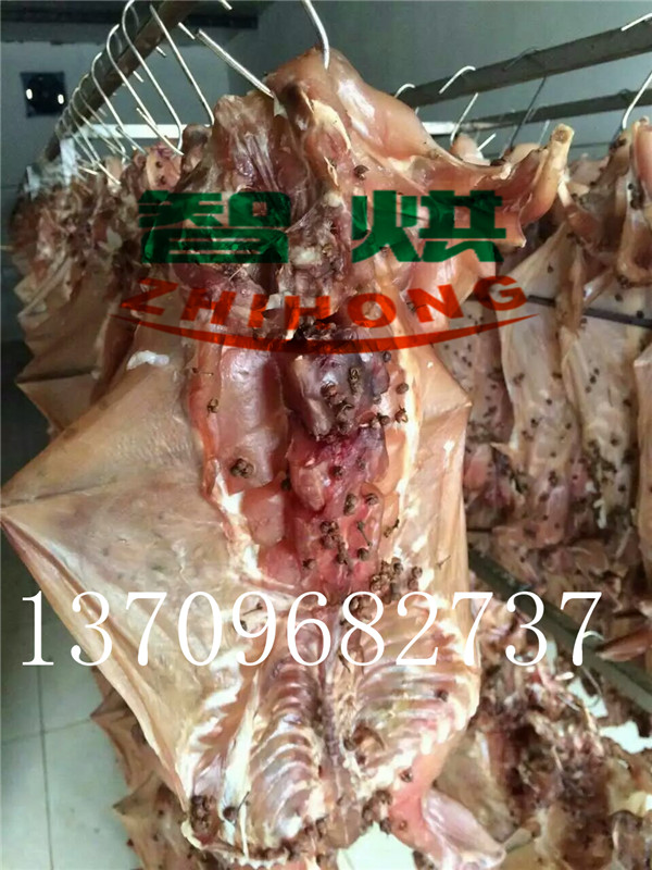 教你如何用臘兔烘干機(jī)烘干美味臘兔