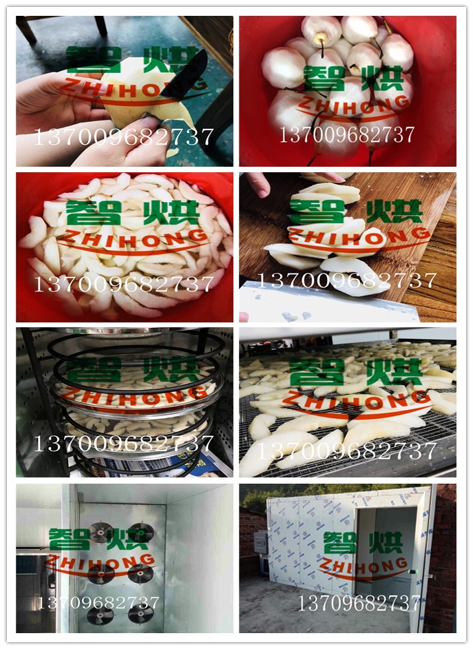 雪梨干烘干機