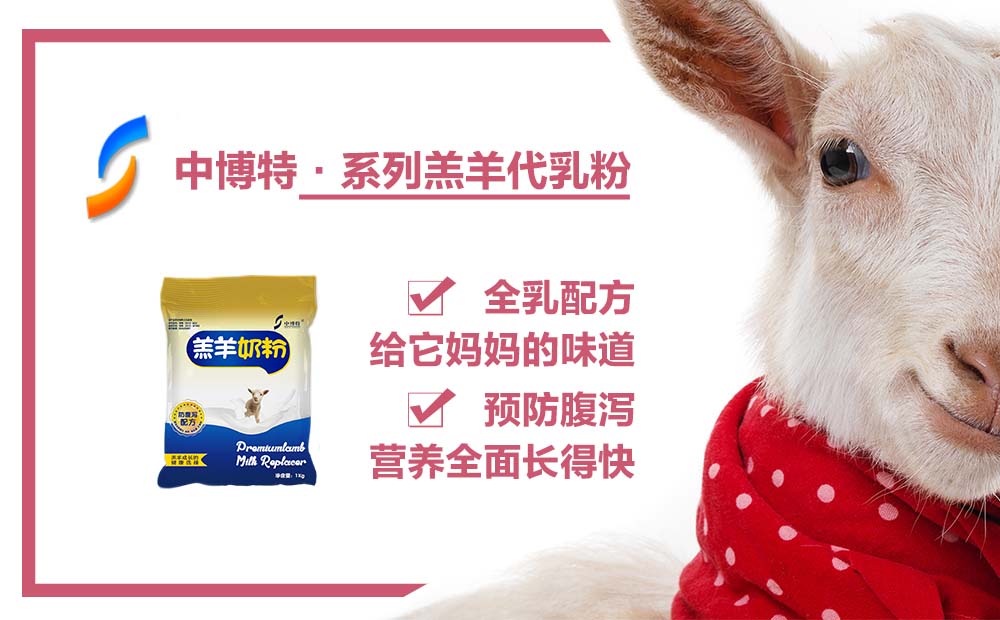 廠家銷(xiāo)售小羊吃的奶粉小羊代乳粉品牌