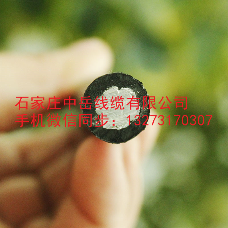 云南昆明廠家JKLGYJ-1KV-70/10平方低壓鋼芯架空絕緣導(dǎo)線 國(guó)標(biāo)