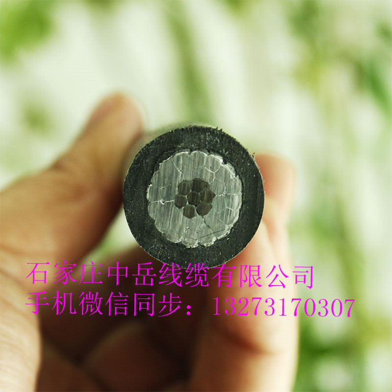 云南昆明廠家JKLGYJ-1KV-185/25平方低壓鋼芯架空絕緣導(dǎo)線 國標(biāo)