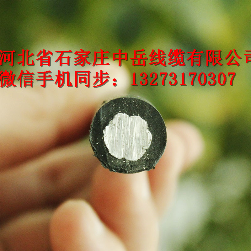 戶外架空J(rèn)KLYJ-1KV-50