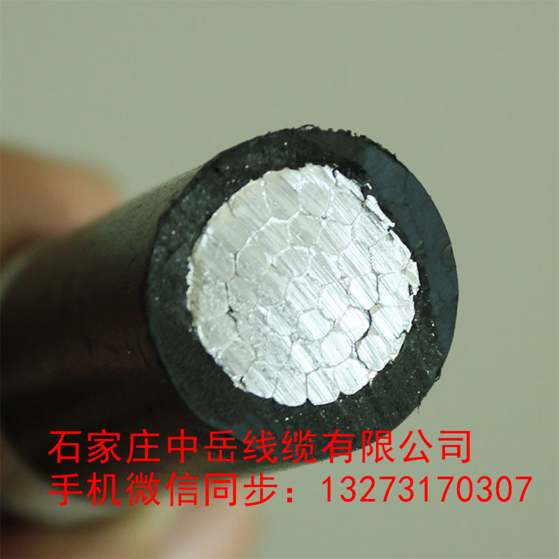 【廠家直銷】遼寧JKLYJ-10KV-240平方高低壓架空絕緣導(dǎo)線 全鋁芯國(guó)標(biāo)