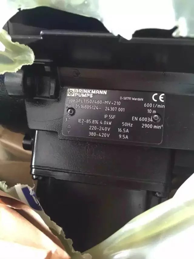 brinkmann SFL650/220  布曼電機(jī) 泵 南京灼華代理好貨