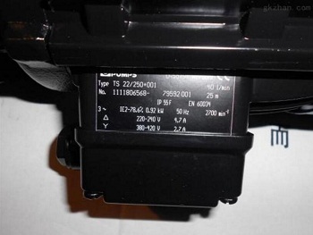 brinkmann TH618A590+100 ohne motor  潛水泵