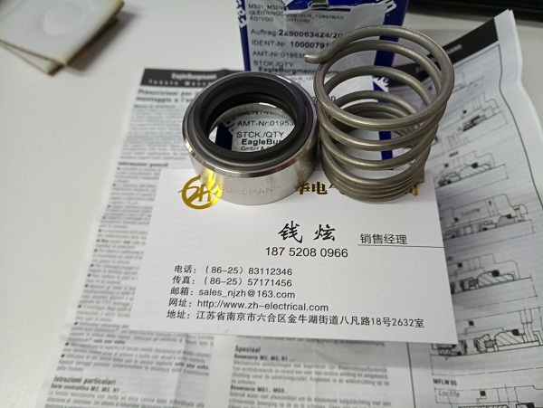 博格曼密封 00 00-EAGLE-BURGMAN 1，4571 現(xiàn)貨發(fā)售