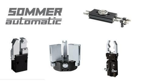 SOMMER-RLA-0800-1340賤日豈殊眾，貴來方悟稀。