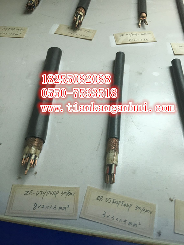 商機(jī)供應(yīng)KGGRP 2*6  2*10硅橡膠電纜-安徽天康集團(tuán)