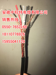廠家直銷EX-HB-FVRP熱電偶補償導線