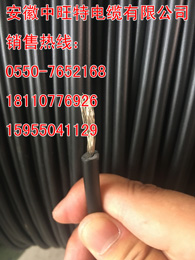 專(zhuān)業(yè)定做EX-VV熱電偶用補(bǔ)償導(dǎo)線/電纜祥情參數(shù)