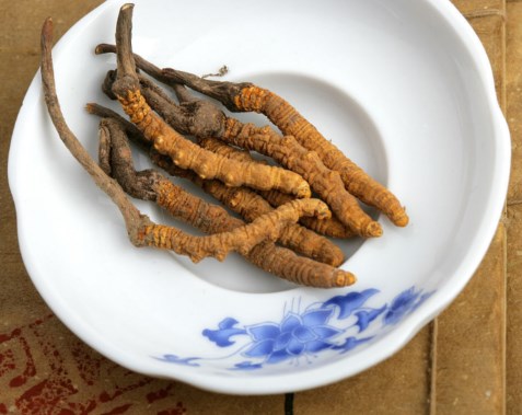 新會(huì)免費(fèi)上門(mén)回收那曲冬蟲(chóng)夏草
