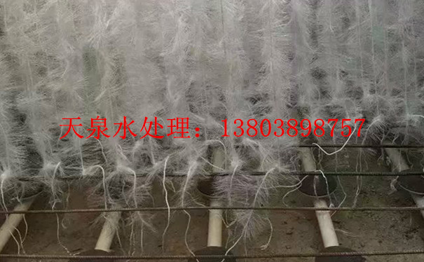 湘潭立體彈性填料_立體彈性填料生產(chǎn)廠(chǎng)家_立體彈性填料價(jià)格