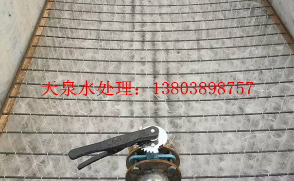 防城港立體彈性填料_立體彈性填料生產(chǎn)廠家_立體彈性填料價格