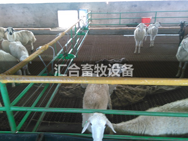 河北養(yǎng)殖大棚，上門搭建，鋼結(jié)構(gòu)材質(zhì)