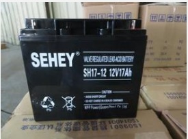 西力蓄電池 NP12-24ah 廣西省南寧市 總 代理商報價
