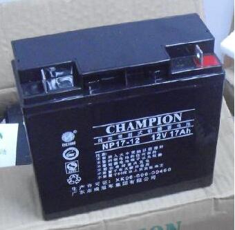 冠軍蓄電池12V24AH廠家直銷
