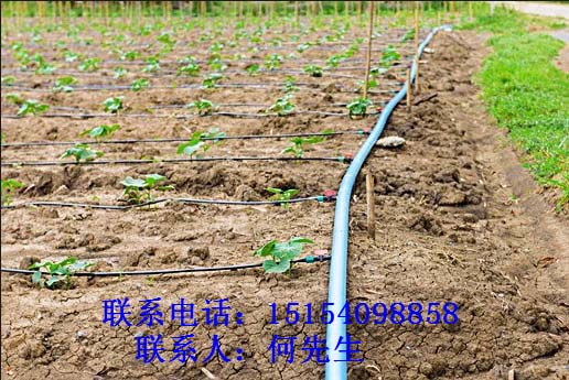 撫州Φ25網(wǎng)式/碟片過(guò)濾器%質(zhì)量好，價(jià)格便宜？