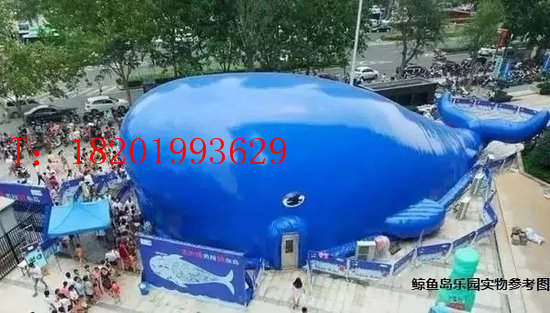 小孩子最愛(ài)樂(lè)園鯨魚(yú)島樂(lè)園海洋球鯨魚(yú)島樂(lè)園出租出售